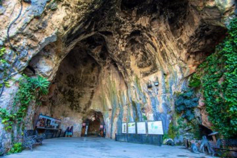 LlegendariVal's tweet photo. Hui coneguem la llegenda de la Cova de les Calaveres a Benidoleig. 
Un vell llibre havia estat a la casa d’eixa família morisca a Benidoleig des de temps immemorials però ningú de la casa parlava d’ell, era un secret de la família.  Durant generacions els moriscos treballaren els camps valencians fins que un mal dia va arribar la noticia, el rei els expulsava, aquella antiga família també havia de deixar les terres i partir per a embarcar cap a Àfrica.  Dos membres joves van decidir fer alguna cosa per poder anar-se'n amb millors garanties i van buscar l’ajuda de dos cristians, la proposta era trobar el fabulós tresor que segons la llegenda estava ocult en una cova propera, gran i profunda, la Cova de les Calaveres.  Els dos cristians també coneixien les històries sobre la caverna i els advertiren que el tresor estava protegit per una poderosa màgia, els moriscos es van mirar, era hora de trencar el jurament famíliar i els van mostrar el llibre. Estava escrit en llengua d’Aràbia per un avantpassat que ningú recordava però que alguna cosa tenia a vore en el tresor doncs explicava com véncer la protecció màgica de la cova.  Segons les secretes instruccions calia portar un gat sense cap pel negre, després quan arribaren a mitjan cova havien de llegir un conjur per evitar l’atac de les presències defensores, el camí se’ls mostraria si cremaven certes herbes aromàtiques. I finalment arribats al tresor havien d’abocar el gat damunt de l’or com a ofrena.  Era arriscat però a la mitjanit es van trobar davant de l'entrada de la cova, en un sac portaven el gat i un dels moriscos sostenia el llibre amb mans tremoloses. Tots sabien de gent que ho havien intentat i no tornaren a eixir. A la fi s’enfilaren cap a les entranyes de la cova, a punt van estar de tornar a eixir però la fé en aquell llibre màgic els va ajudar i seguiren pels passadissos i grans sales.  Aleshores una llum va aparèixer d’enmig de les tenebres, incapaços de fugir pel pànic, van distingir la forma d’una jove morisca que filava distreta. El morisc que portava el llibre advertint que estaven davant d'una prova, va buscar a les pàgines el conjur, el va recitar i amb l’última paraula del conjur l’espectre es va esvair.  Temorosos van seguir mentre resaven cadascú a la seua divinitat, mentre avançaven van traure les plantes i les van cremar perquè se’ls mostrara el camí, i d’alguna forma màgica malgrat el laberint, arribaren a una estança que brillava. Mai havien vist res semblant, ni tan sols podien imaginar que existira tanta riquesa al món, però ahí estava.  Quan van avançar per a fer-se amb el tresor, de sobte va aparèixer el seu guardià. Era un gegant negre immòbil com una estàtua i amb un garrot alçat, ni entre els quatre junts el podrien véncer. Aleshores van soltar el gat sense cap pel negre per a fer l’ofrena.  El gegant es va moure per a comprovar el gat però aquest no era completament blanc i els el va llançar per a després tornar a la seua posició. Hi Havien fracassat, però mentre passava tot això un dels quatre va agafar un grapat de perles.  Frustrats, feren la caminada de tornada però el pànic els va envair quan trobaren la porta tapada, en eixe moment, totes les forces obscures que purulaven a la caverna es feren presents. El pànic els va dominar i ja esperaven la mort quan van començar a sospitar que un els havia traït, havien furtat part del tresor sense permís i això els hi havia condemnat a passar allí tota l'eternitat.  A la fi el responsable va confessar i sols quedava una possibilitat, tornar-ho i confiar en què aquelles forces màgiques que custodiaven el tresor tingueren pietat d’ells. Deixaren les riqueses a la càmera del tresor i llavors tot va començar a tremolar, hagueren enderrocs, la tornada va ser angoixosa però quan van vore l'entrà i la fosca nit a l’exterior van córrer desesperats tement que es tancara. Van viure per a contar-ho, per això coneguem esta història però cap d’ells va tornar a ser els mateix.