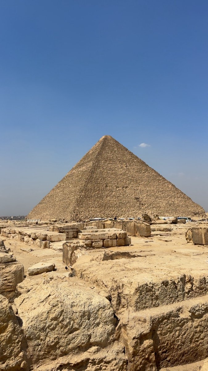 صالح🇦🇷 tweet media