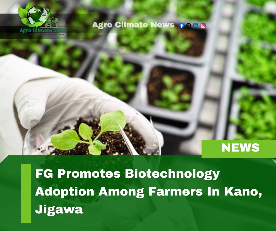 AgroClimateNews's tweet photo. FG promotes biotechnology adoption among farmers in Kano, Jigawa  https://t.co/ESojaCvpcC via @Agro Climate News https://t.co/Ro56iwvhVF
