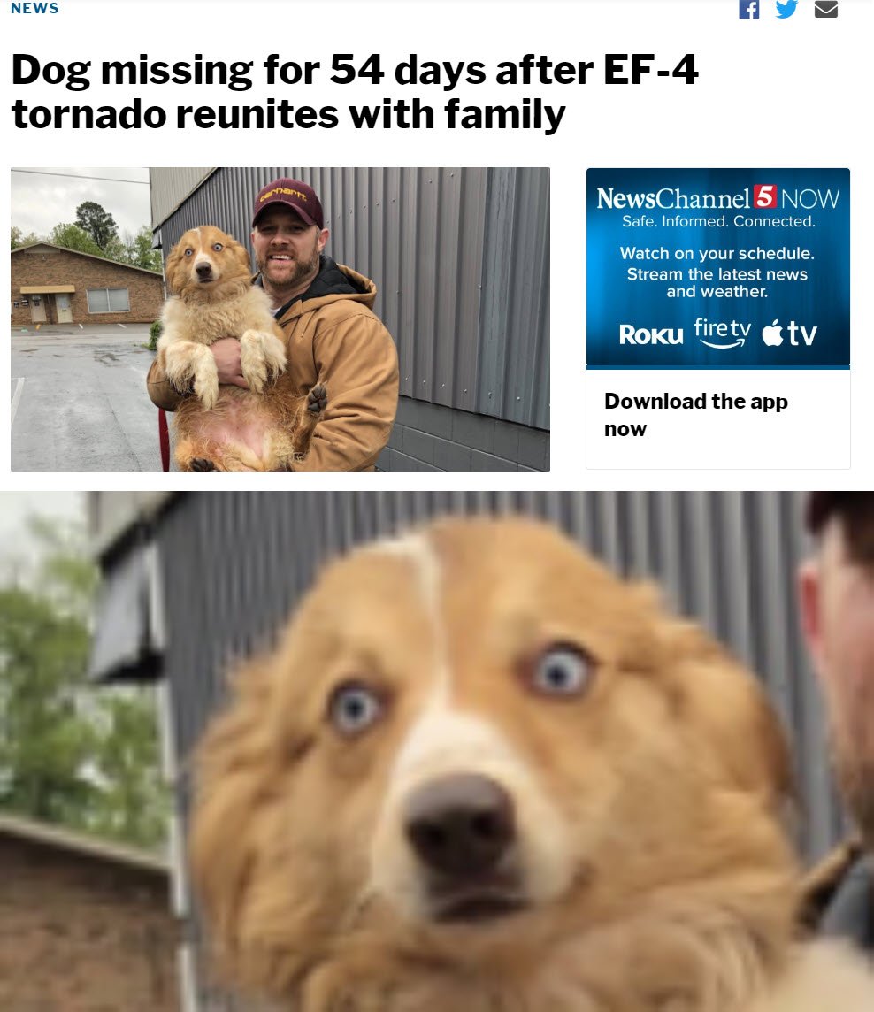 Jesse Ferrell tweet media