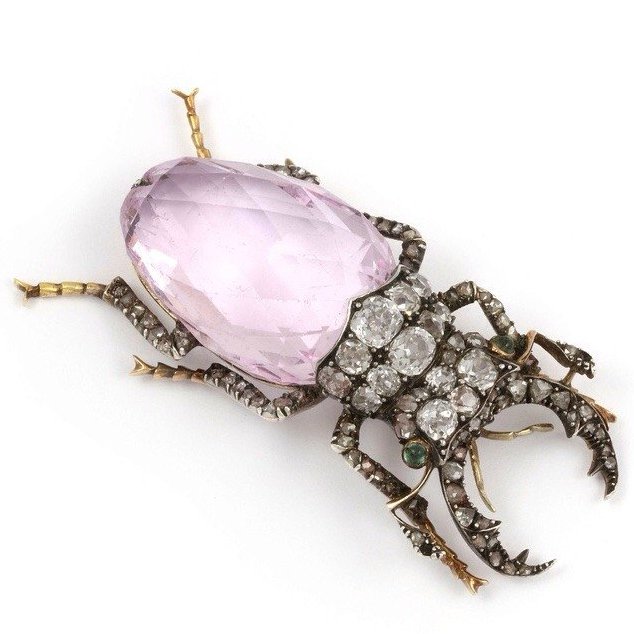 Fascinating History tweet media