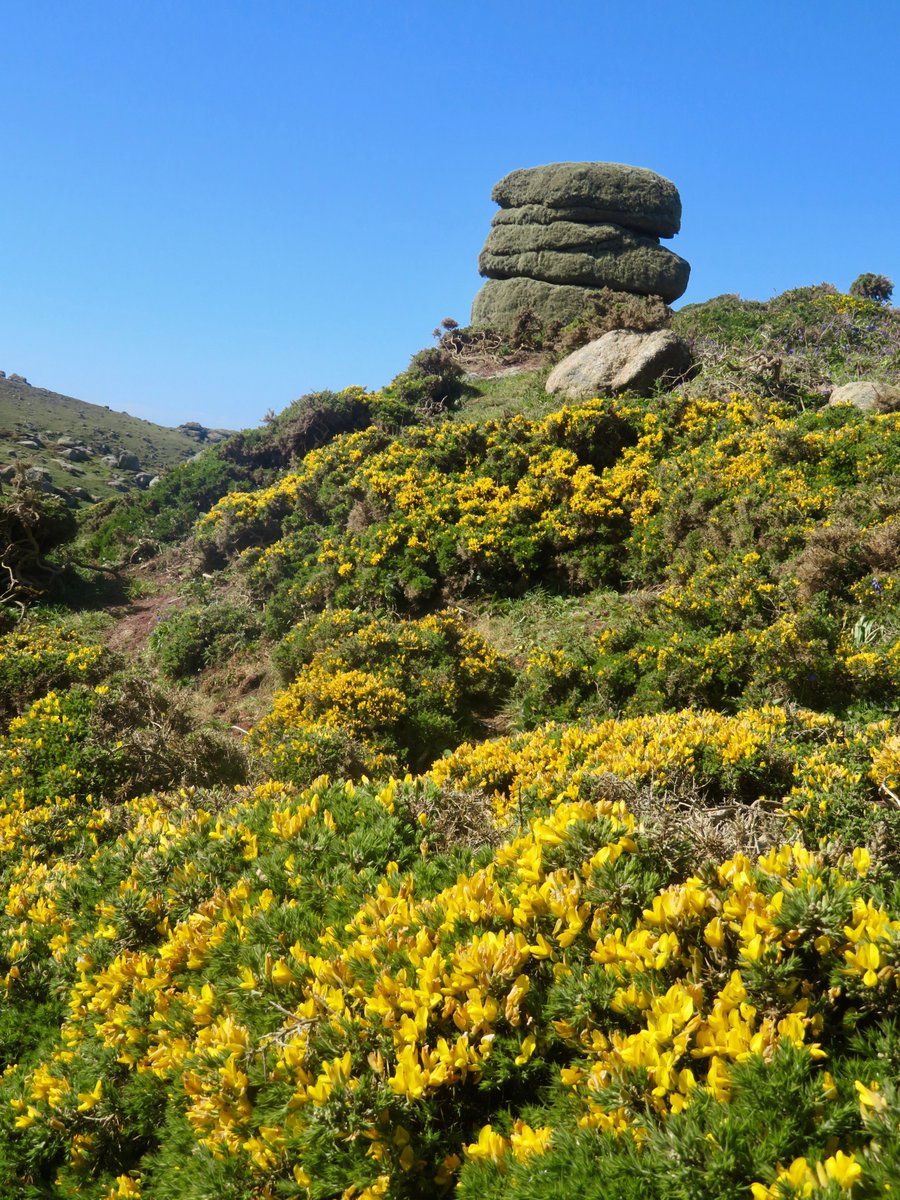 bakrim2000's tweet image. 2/  Yesterday I went for my annual pilgrimage walk to make the most of the most glorious weather☀️ with my traditional long coastal trek.  It was a gorgeous walk!   next stop Nanjizal📍
 #walking 👣  #Cornwall