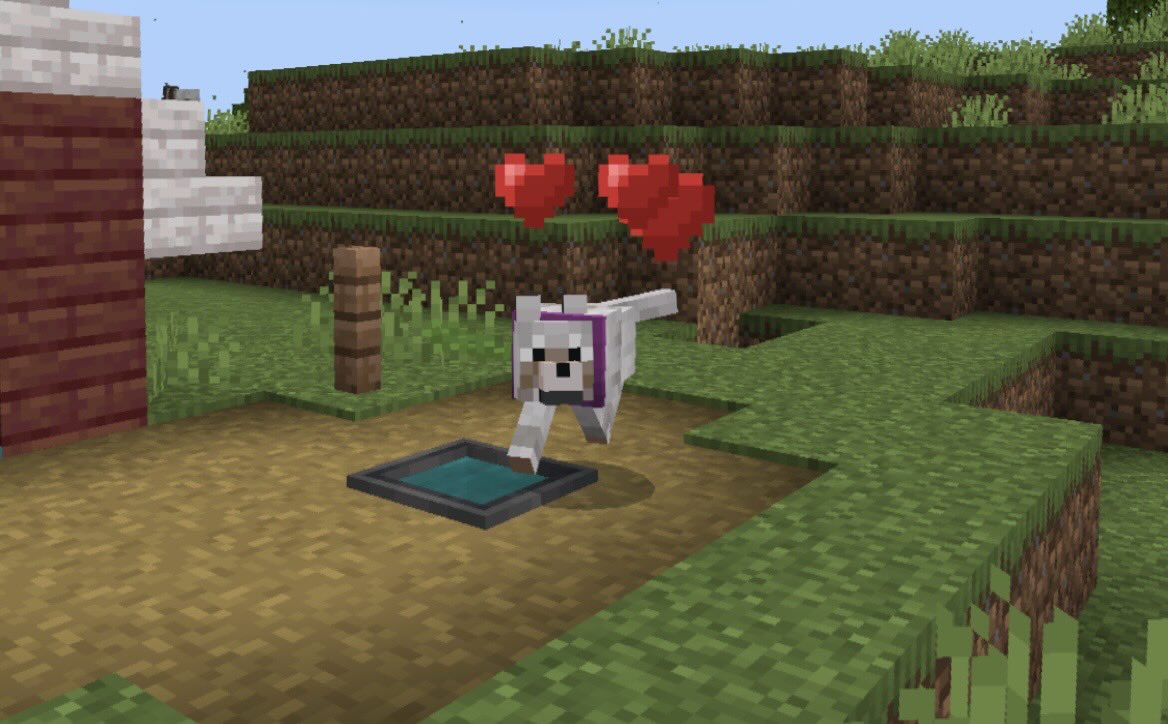 MineArtsNCrafts's tweet image. #Minecraft #マイクラ #Dog 
She is always happy to see us… 😊💕
