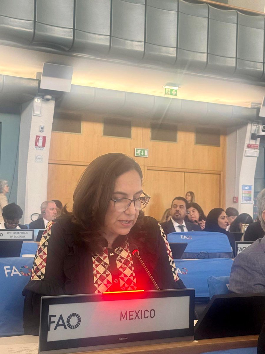MisionMexRoma's tweet photo. #México reitera en la sesión 180 del Consejo de la @FAO su disposición para contribuir a la construcción de respuestas colectivas que fortalezcan la seguridad alimentaria global en un contexto crecientemente complejo. @SRE_mx @Agricultura_mex https://t.co/8X3XxcpA1f