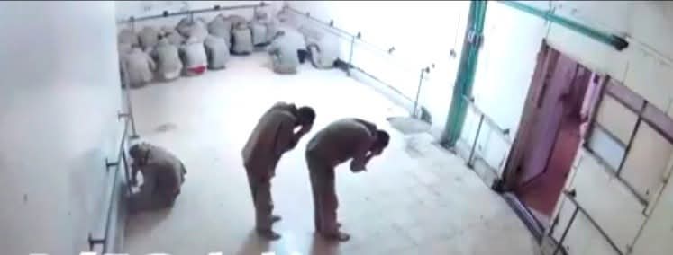 يوْسُف | أبو أُسَامَة 🏳️ tweet media