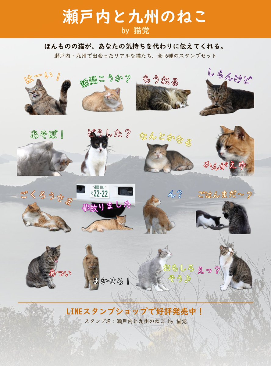 猫党（al4th） tweet media