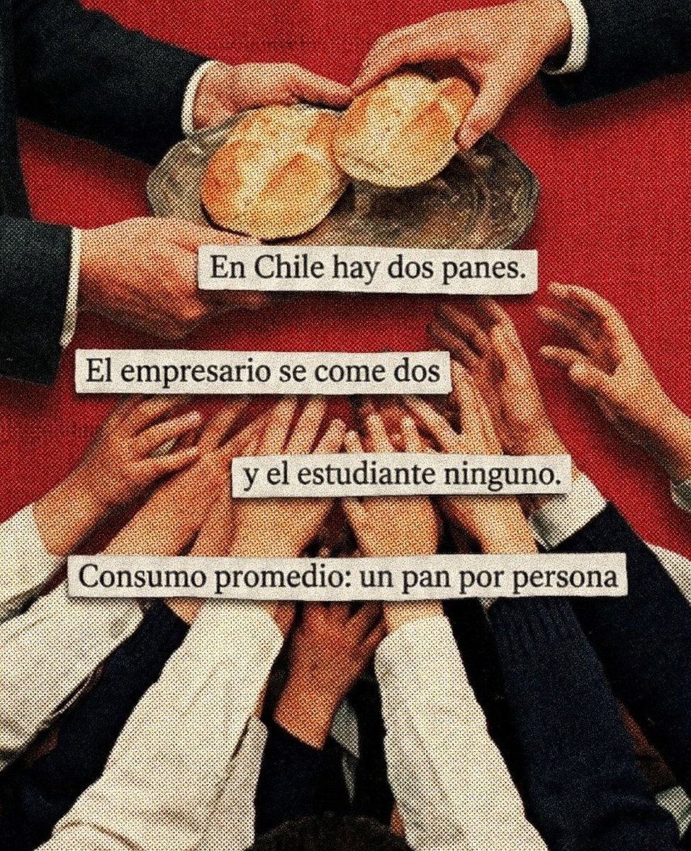 🐾🐾🐕🐾ɹɐןı̣Ԁ🐾🐕🐾🐾 tweet media