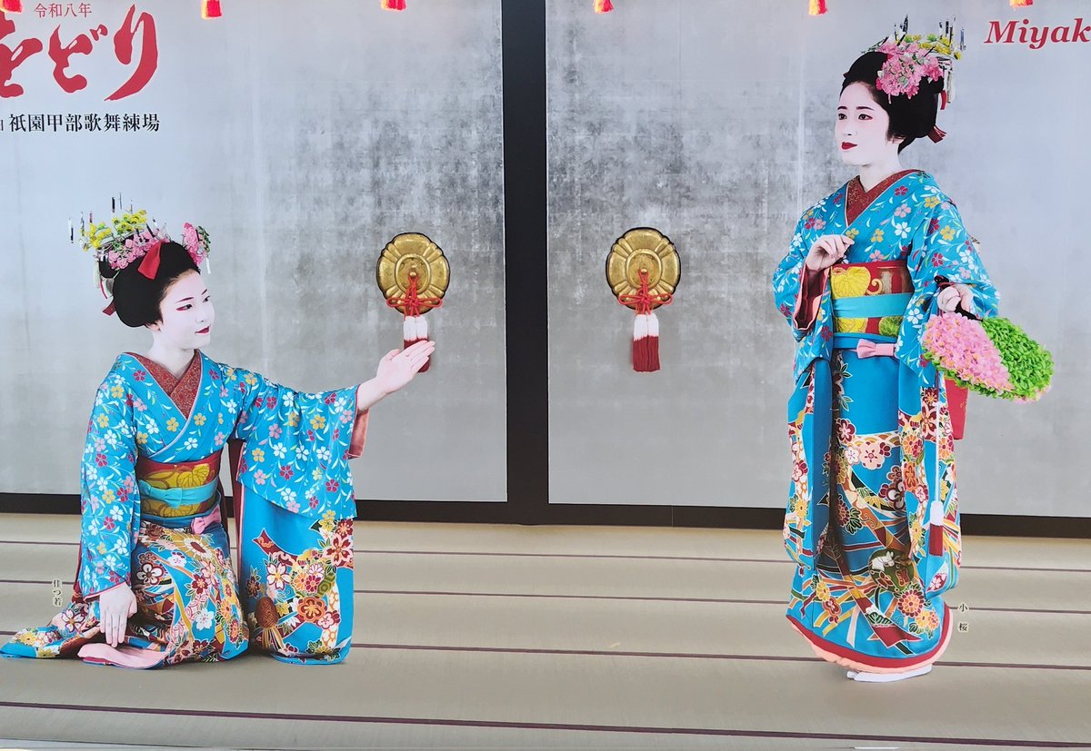 メグラー(巡回鳥) tweet media