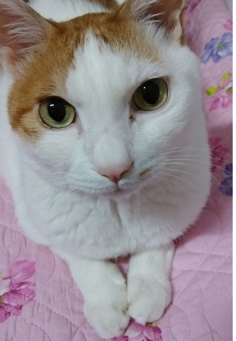 𝑴𝑰𝑺𝑬𝑹𝒀 tweet media