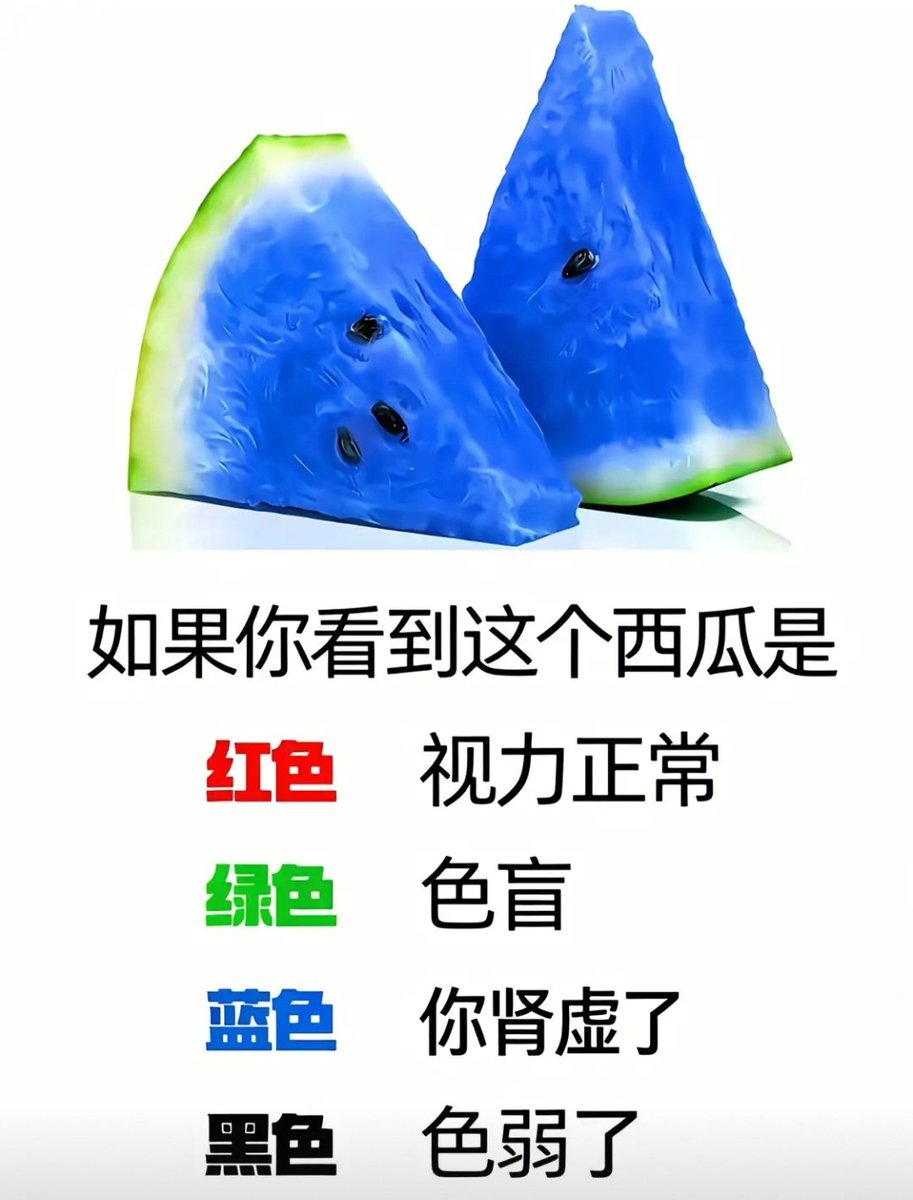 猫小小 tweet media