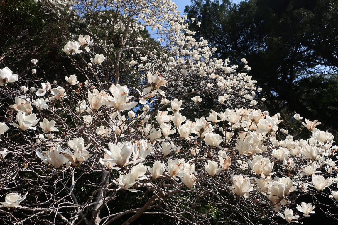 R774@まとめ屋 tweet media