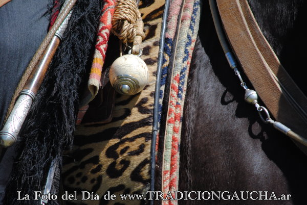 Tradición Gaucha tweet media