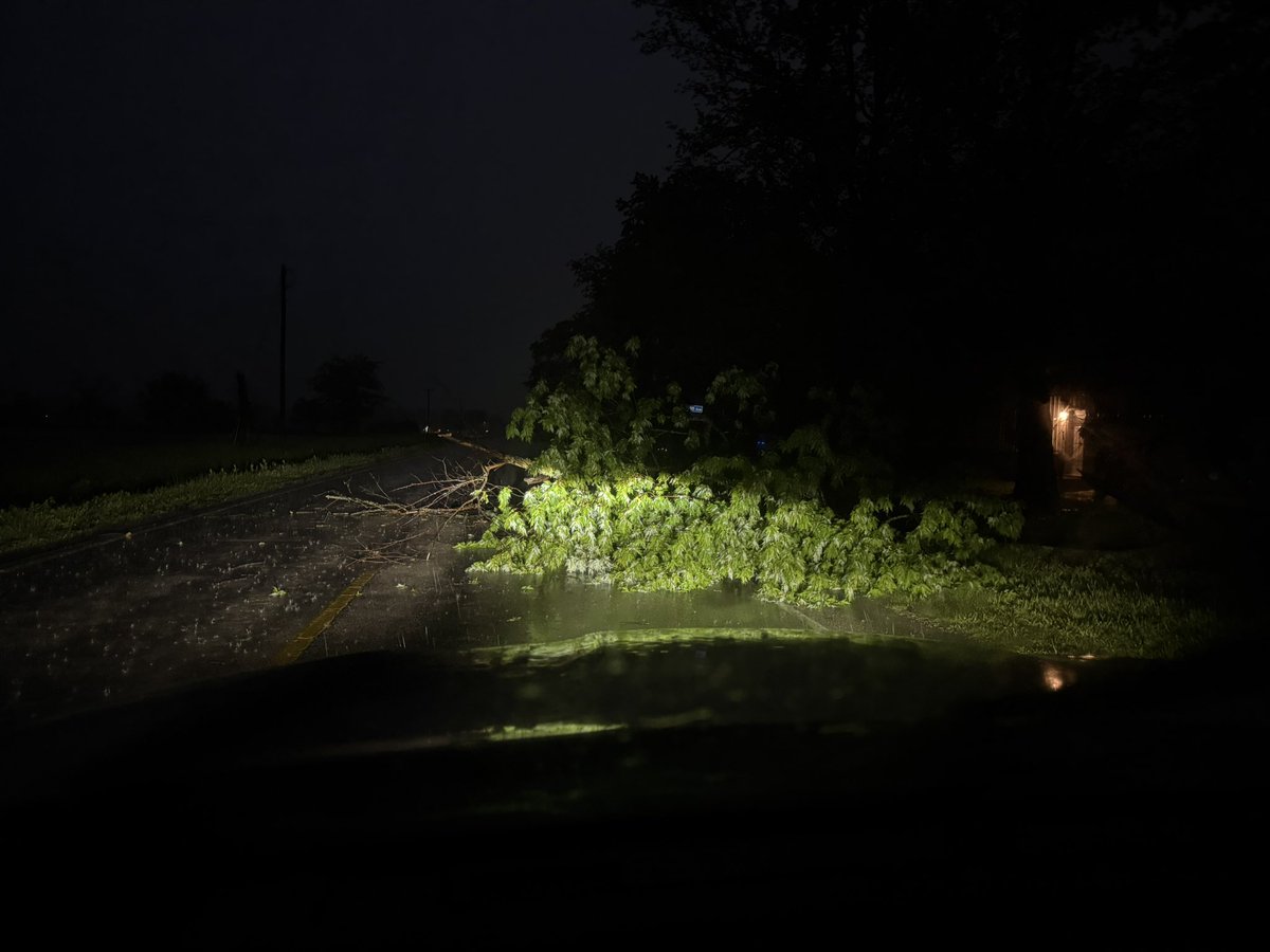MLazarowWX's tweet photo. @NWSLincolnIL Large tree (maybe 8” diameter?) was down across one lane heading south out of Herrick, time was 7:56pm / 0056z https://t.co/DALgpD9I4F