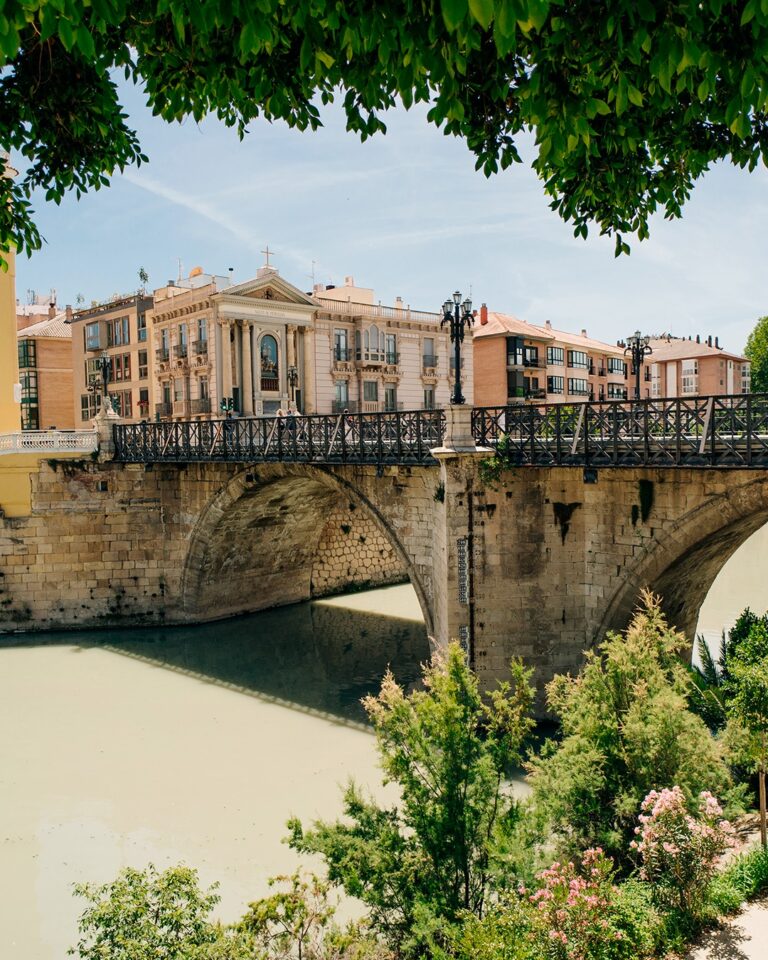 #ConexionesVitales tweet media