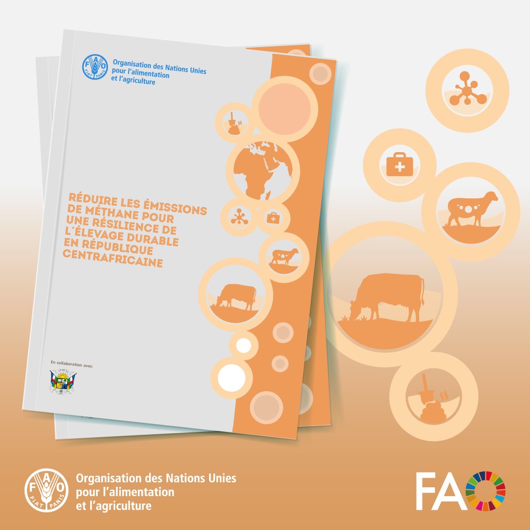 FAO en français tweet media