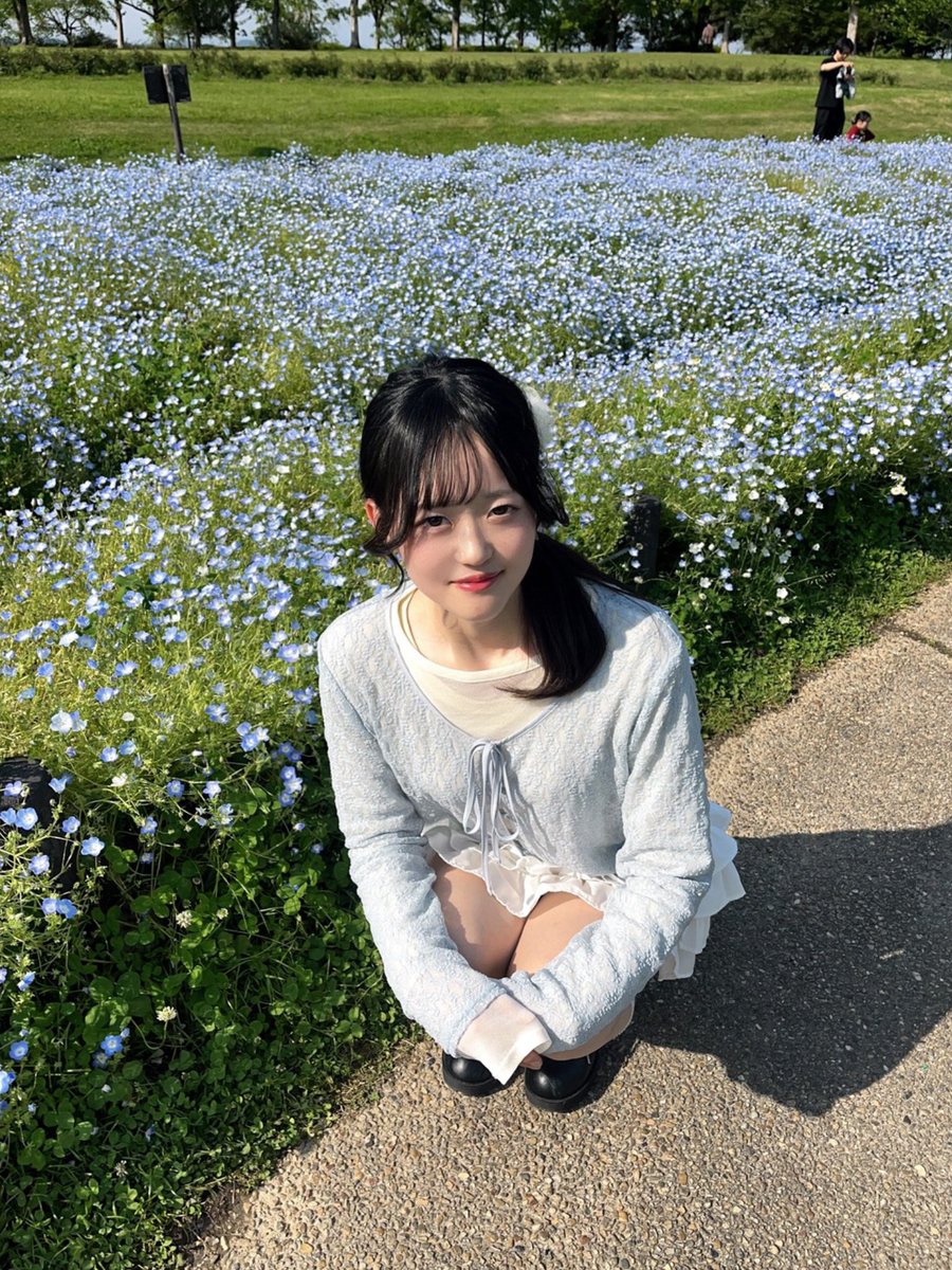 Arkadia_Rei's tweet photo. ネモフィラも花盛りᩚ❤︎ https://t.co/7iIcZSb9G6