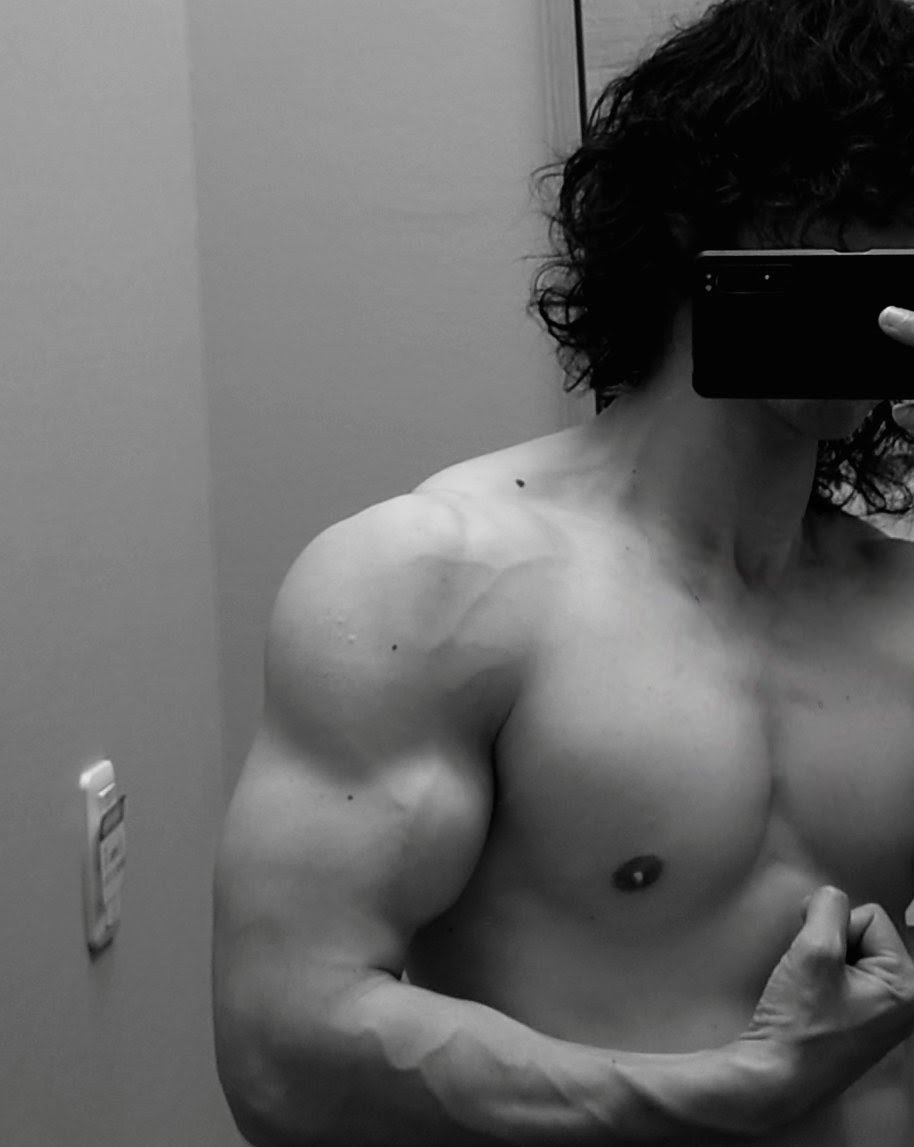 北極クマ tweet media