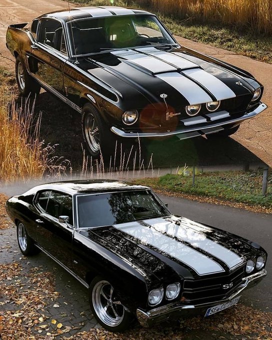 Vintage Cars Collection tweet media