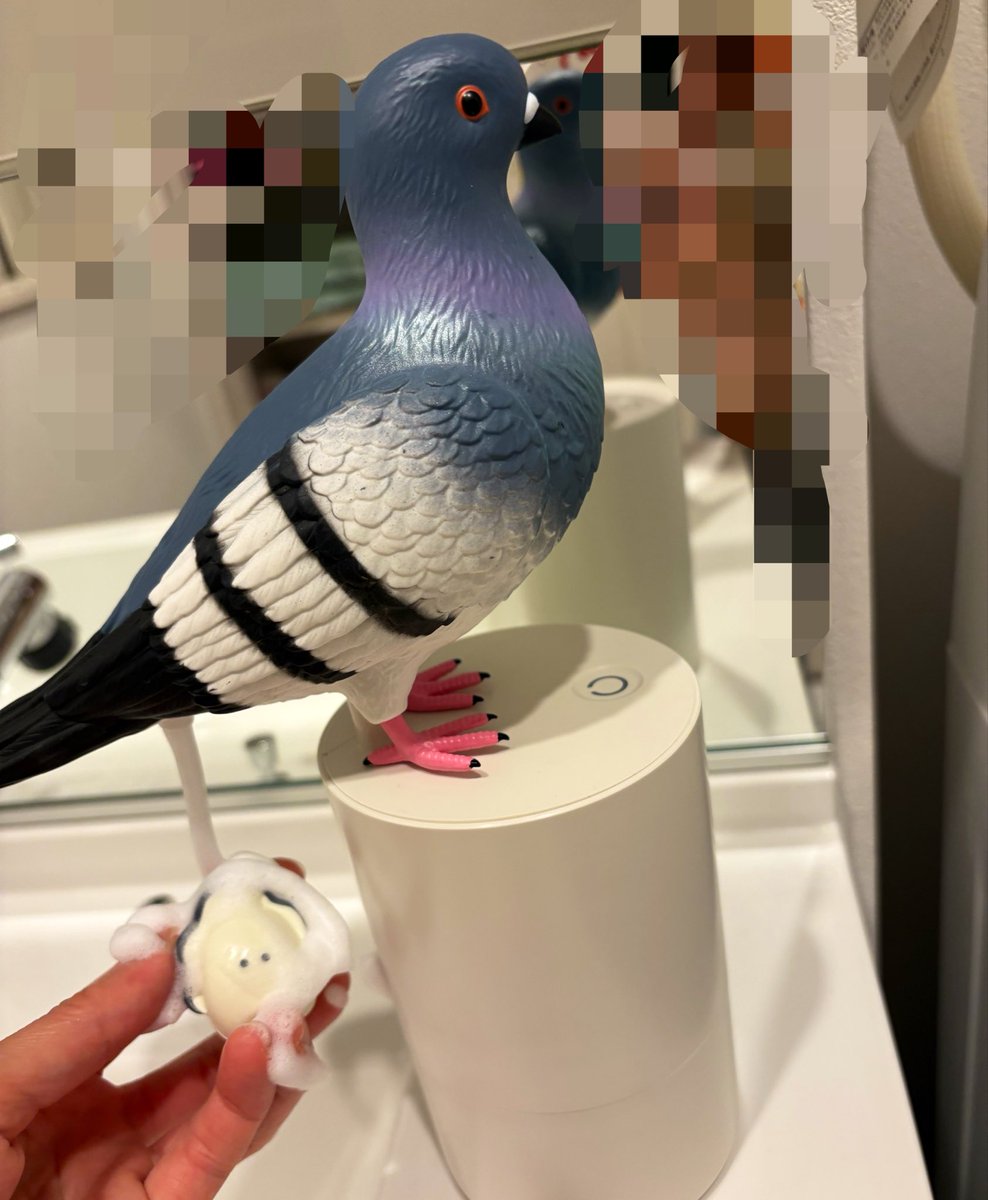 鳩のディスペンサー来た🥰