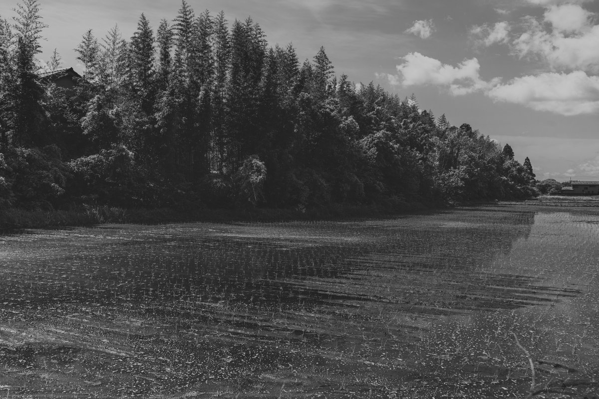 akabeko63's tweet image. #2464
#monochrome #モノクローム