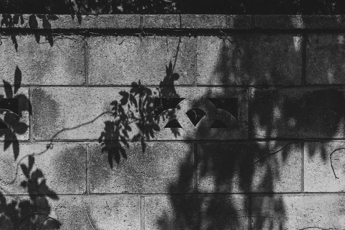 akabeko63's tweet image. #2464
#monochrome #モノクローム