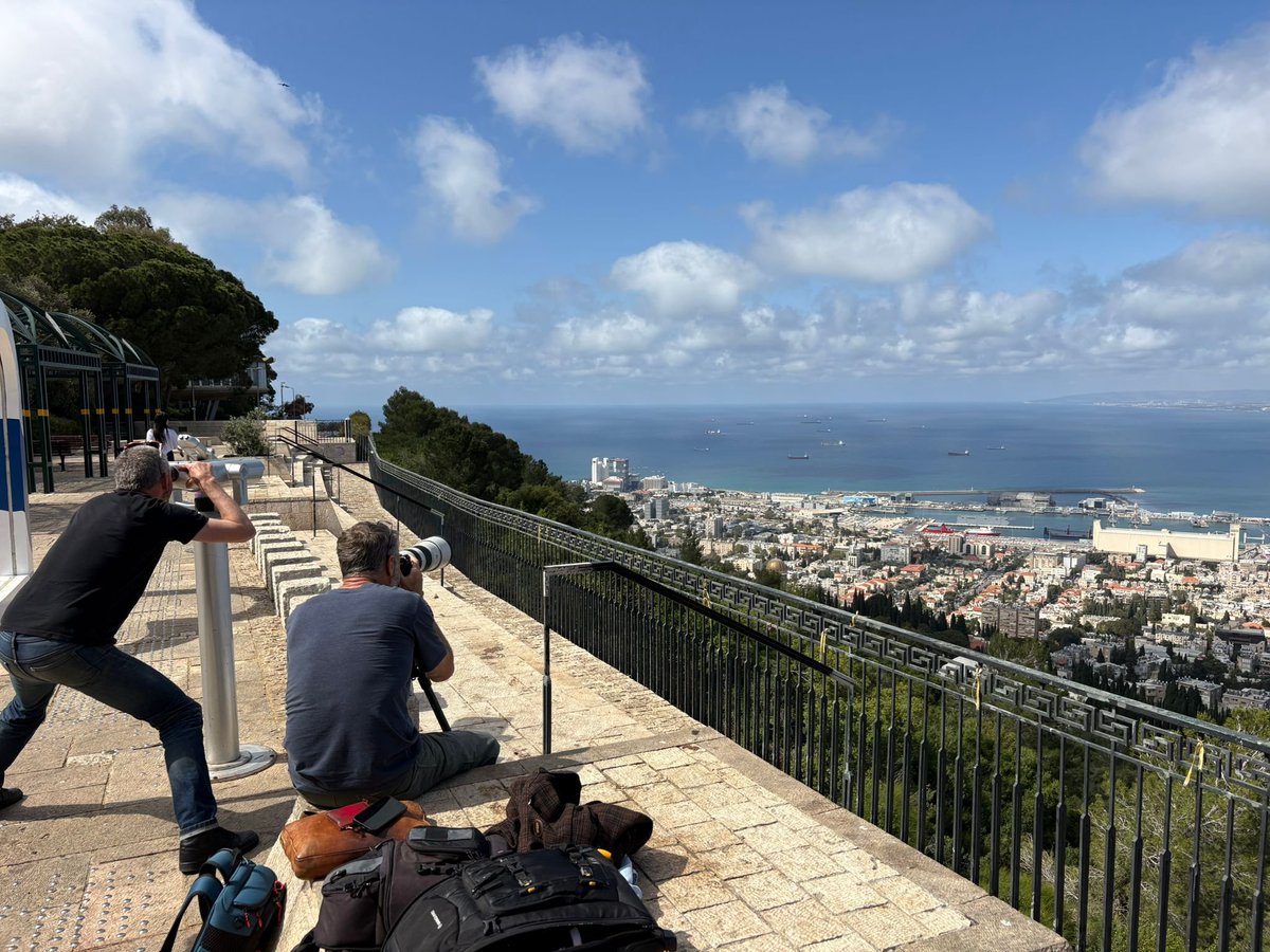 avi scharf tweet media