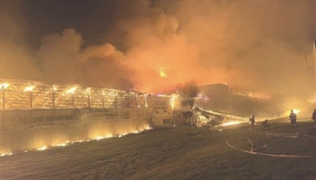 ちゃんほた🌸 tweet media