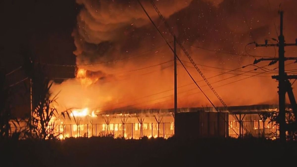 ちゃんほた🌸 tweet media