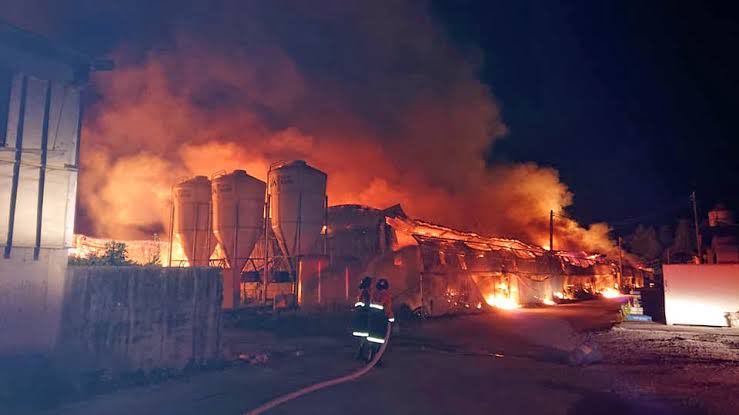 ちゃんほた🌸 tweet media