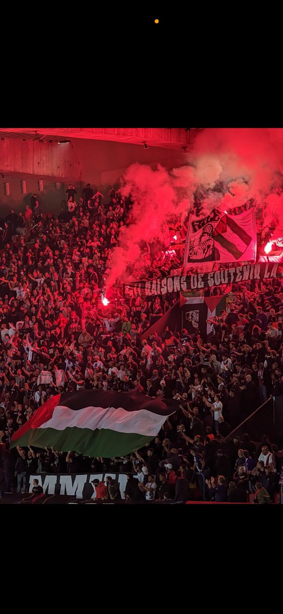 Nishen Hitchens 🇨🇷 tweet media