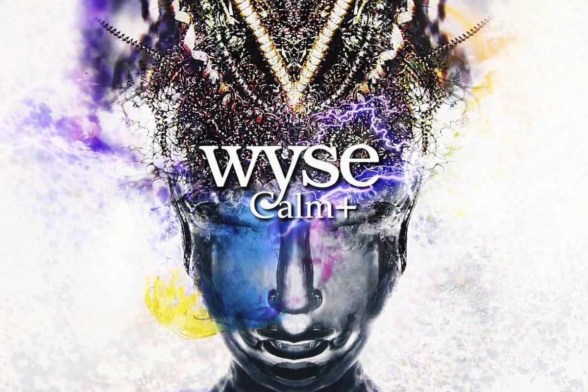 wyse ライブ　CD wyse、結成初期にフォーカスしたライブCD『1999-2001』リリース決定