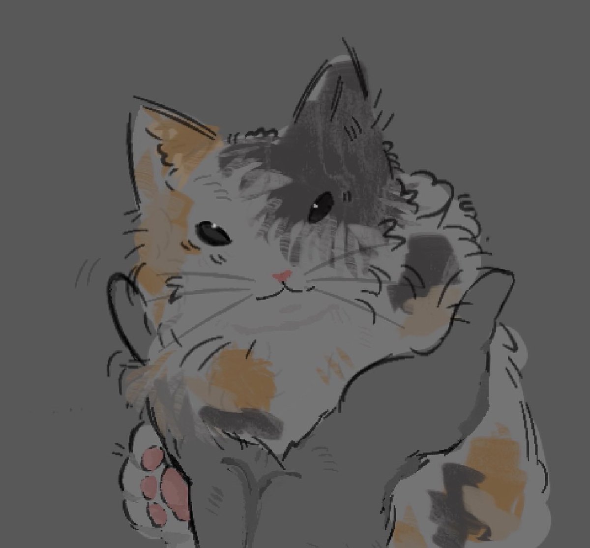 Perseus . tweet media