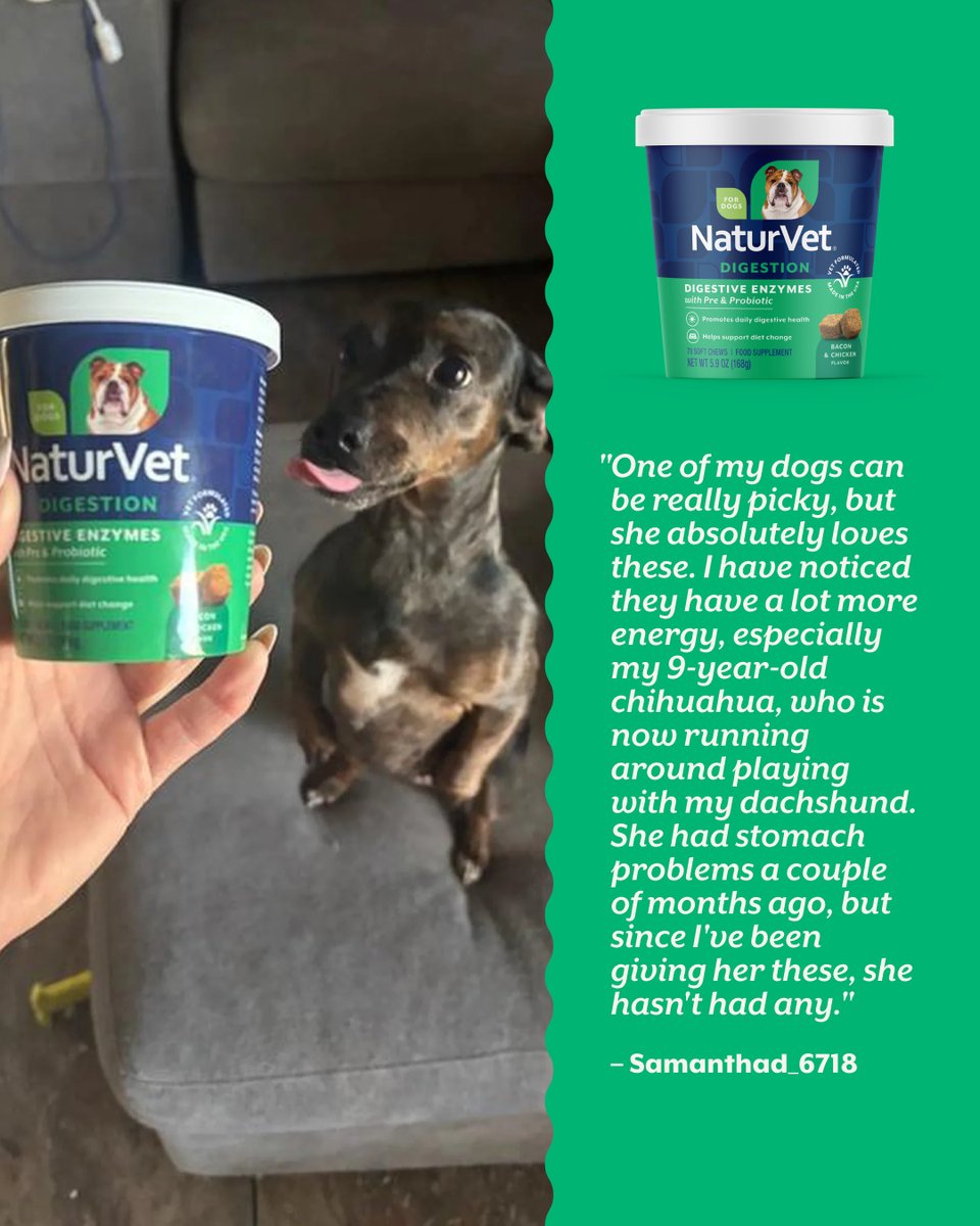 NaturVet's tweet image. When stomach issues get your dog down, look to NaturVet's Digestive Enzymes Soft Chews. Vet-formulated to help promote daily digestive health, dogs love the chicken and bacon flavor.
 
Shop now at Walmart: bit.ly/3Nm8Olo
 
#NaturVet
#Dogs
#DogsLovers