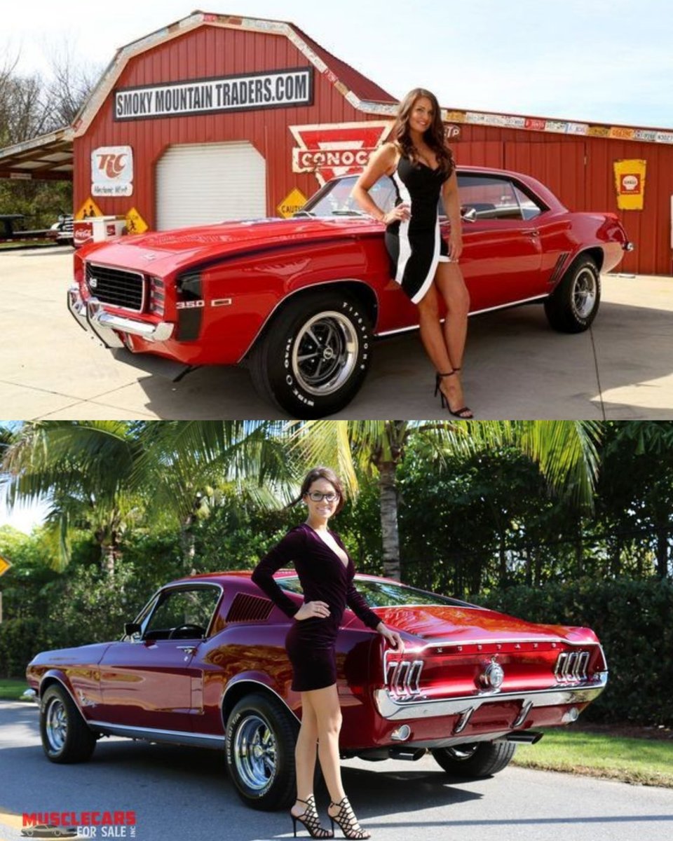 Vintage Cars Collection tweet media