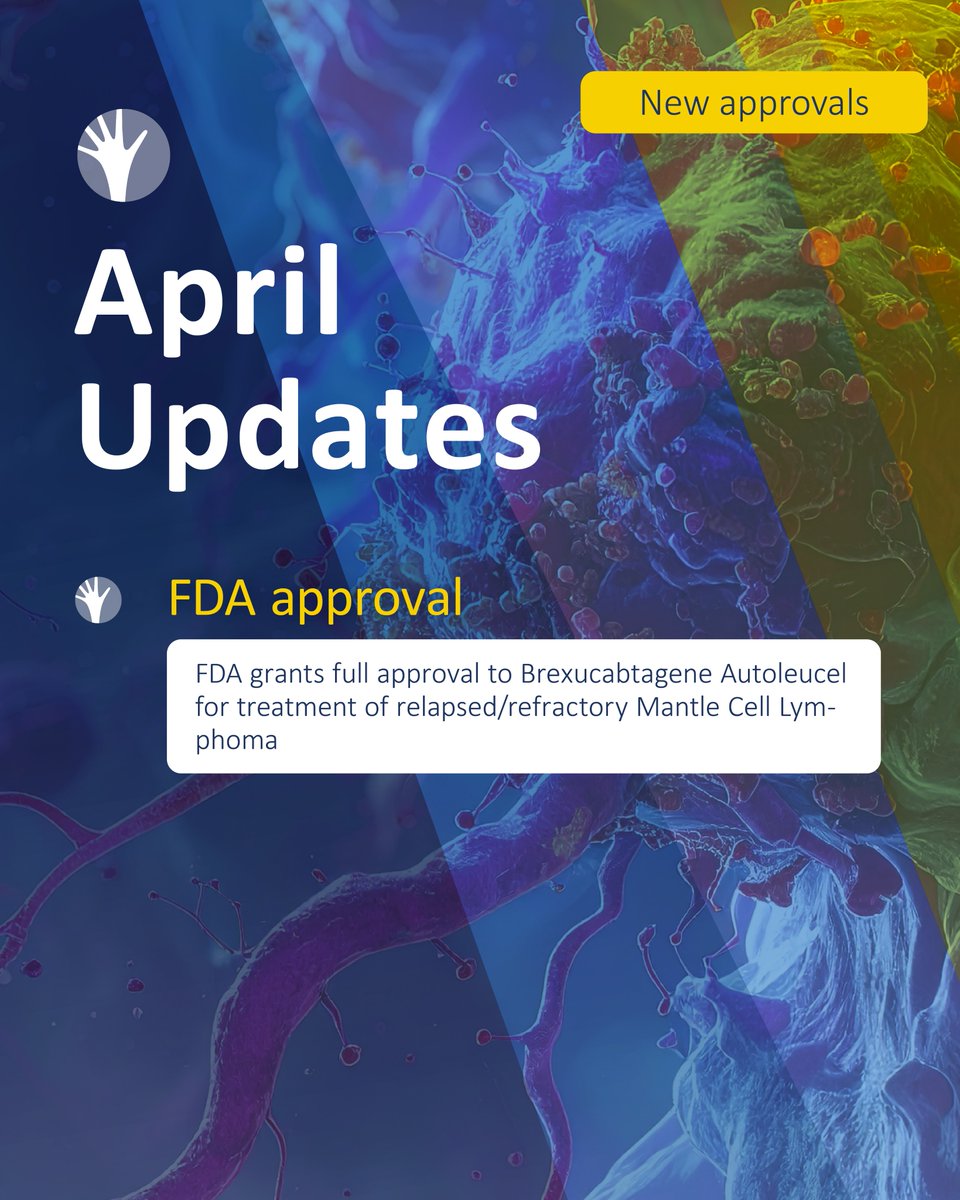 high5md's tweet image. Recent weeks have brought important momentum in oncology, including several FDA approvals across different tumor types.
👉 Swipe for a concise overview of current and clinically relevant developments!
#Oncology #Hematology #ProstateCancer #OvarianCancer #MultipleMyeloma
