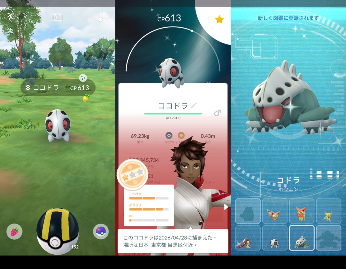 PikachuYokohama's tweet image. Today's shiny.
I'm happy about this new encounter.

久々のイロチは新しい出会いでした。幸せ～。

#PokemonGo #shiny #Cubone #Aron #PokemonGOfriend #ポケモンGO #カラカラ #ココドラ #今日の色違い