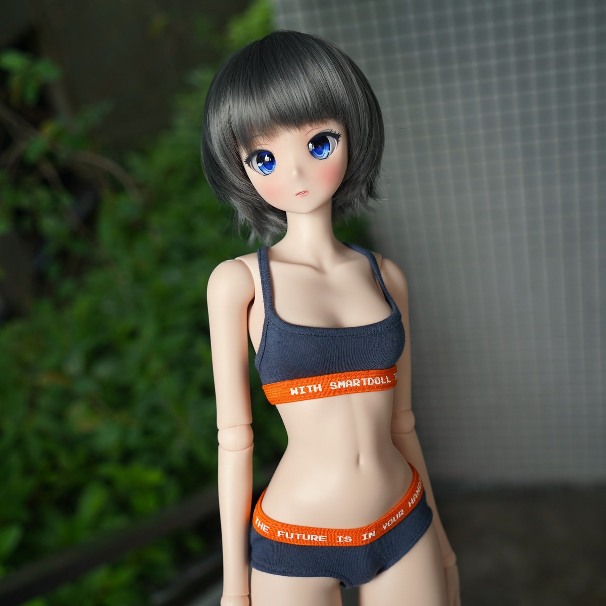 Smartdoll Land tweet media