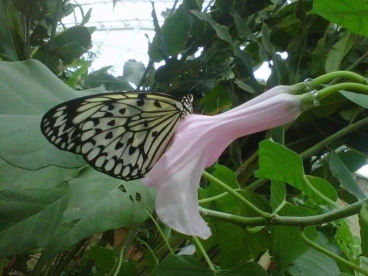 °❀.ೃ࿔* tweet media