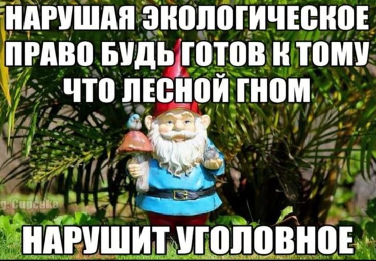 Sad Clown🃏 tweet media