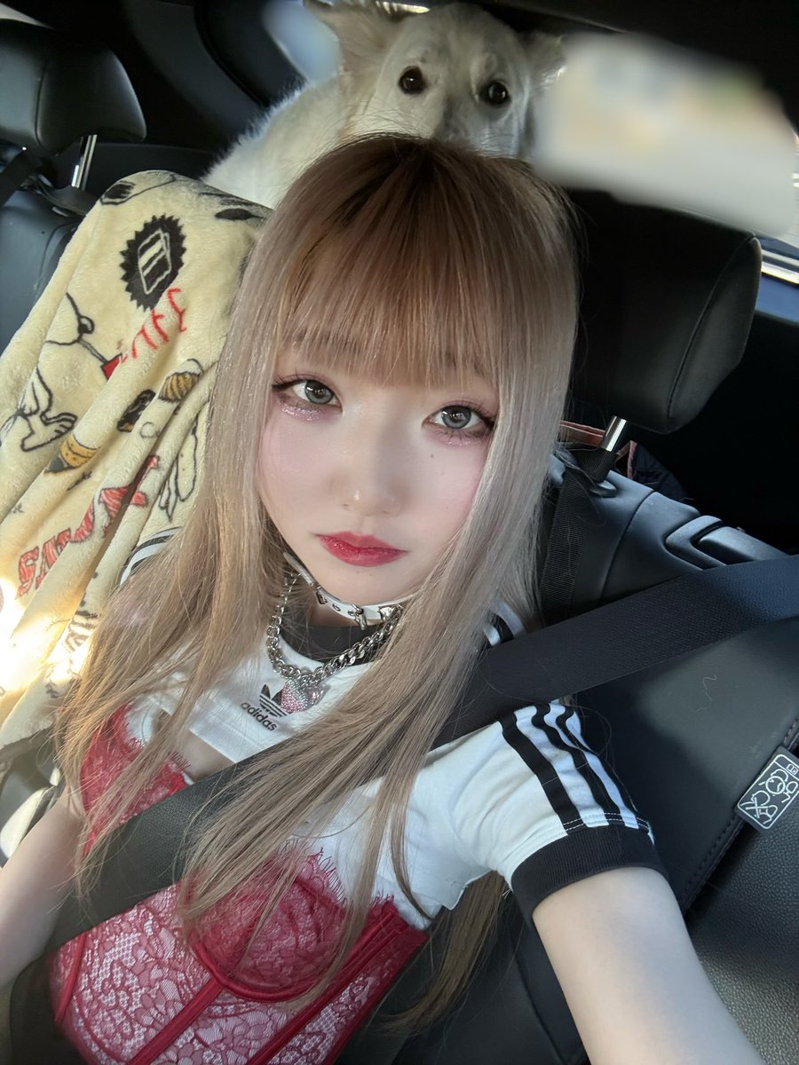 献鹿狸太朗 tweet media