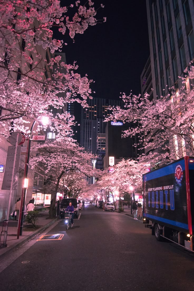 Tokyo Japan 🇯🇵 tweet media