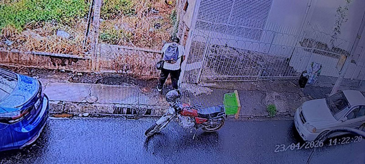 Alerta Noticias tweet media