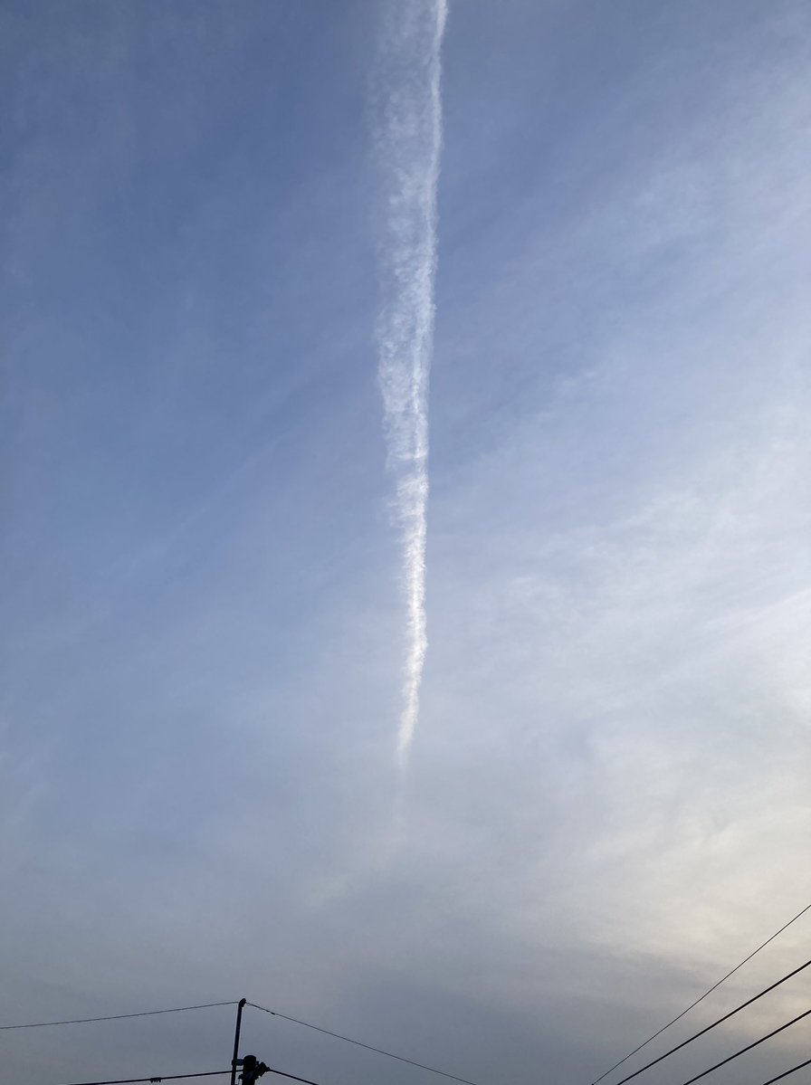 ぱおにゃん❥🐦🫧 tweet media