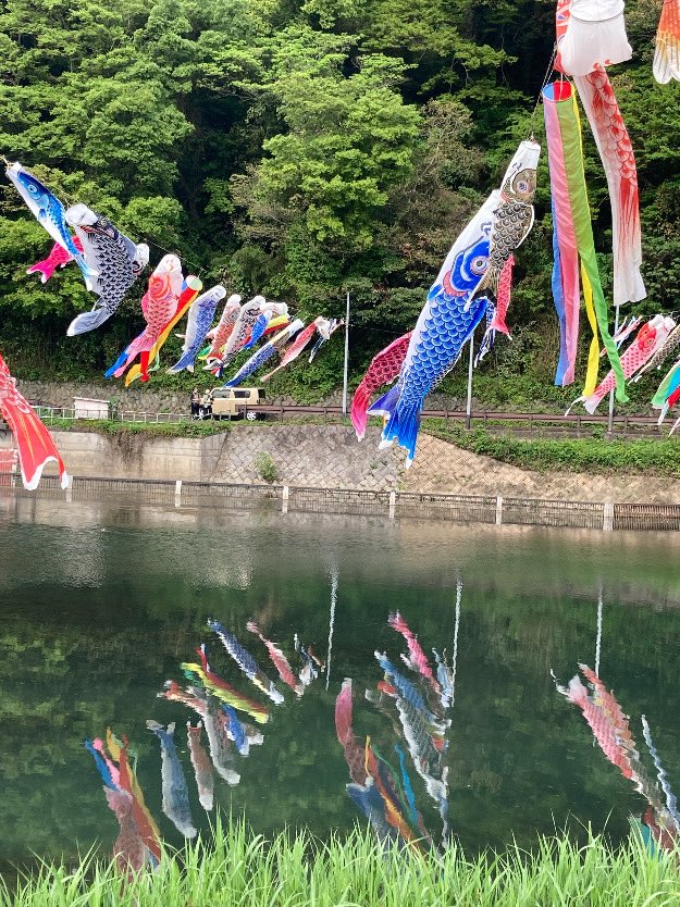 ぱおにゃん❥🐦🫧 tweet media