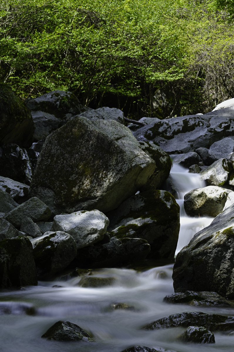 STYL🅾️/taku tweet media