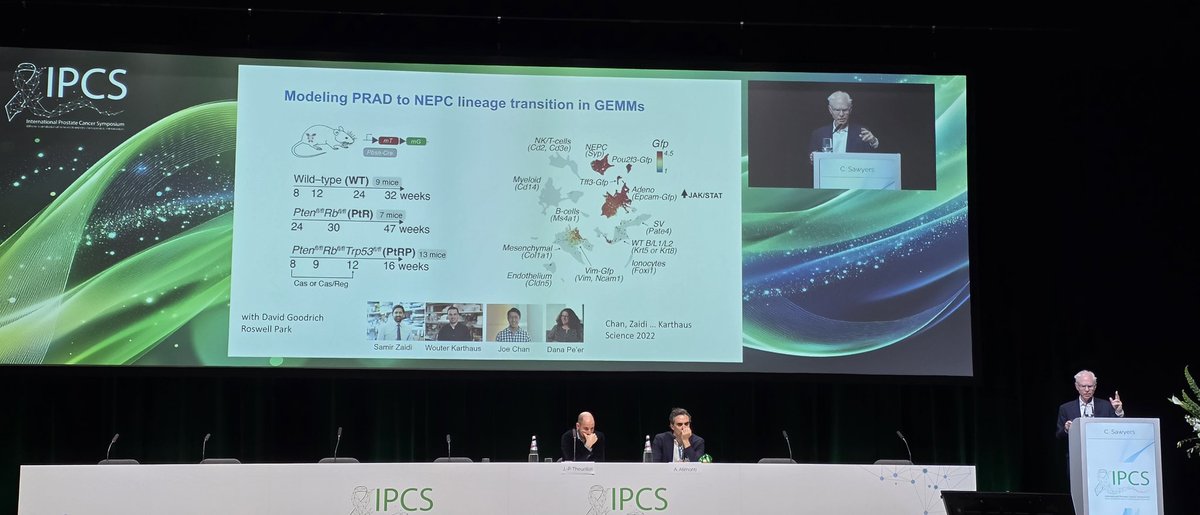 Martin_AngelMD's tweet image. 📢 Great starting!!
Dr. Charles Sawyers addressing in the #AACR oppening lecture in transition from adenoCa to NEC in #prostatecancer at #IPCS26 @APCCC_Lugano @Silke_Gillessen 🇨🇭 @oncourologiaarg @fundacion_FUCA @vicare_asocia