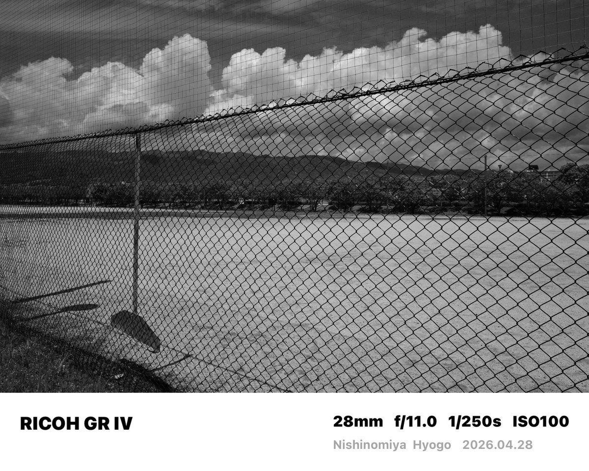 tagabon0210's tweet image. GR Ⅳ Day 229
#gr #grsnaps #grdays #gr4 #griv