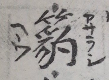 璃音 tweet media