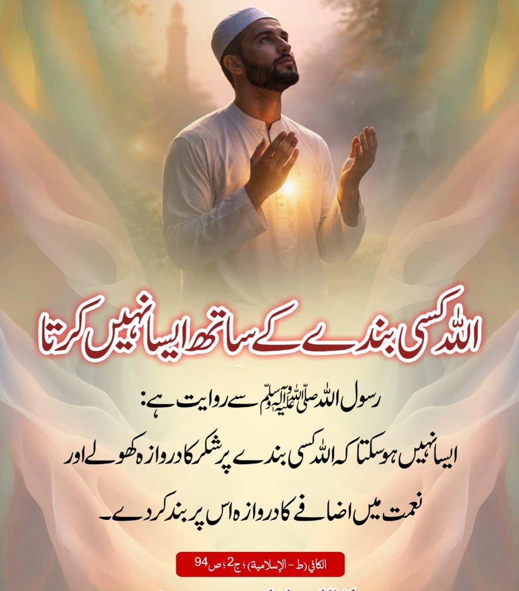 Nosheen Zehra tweet media