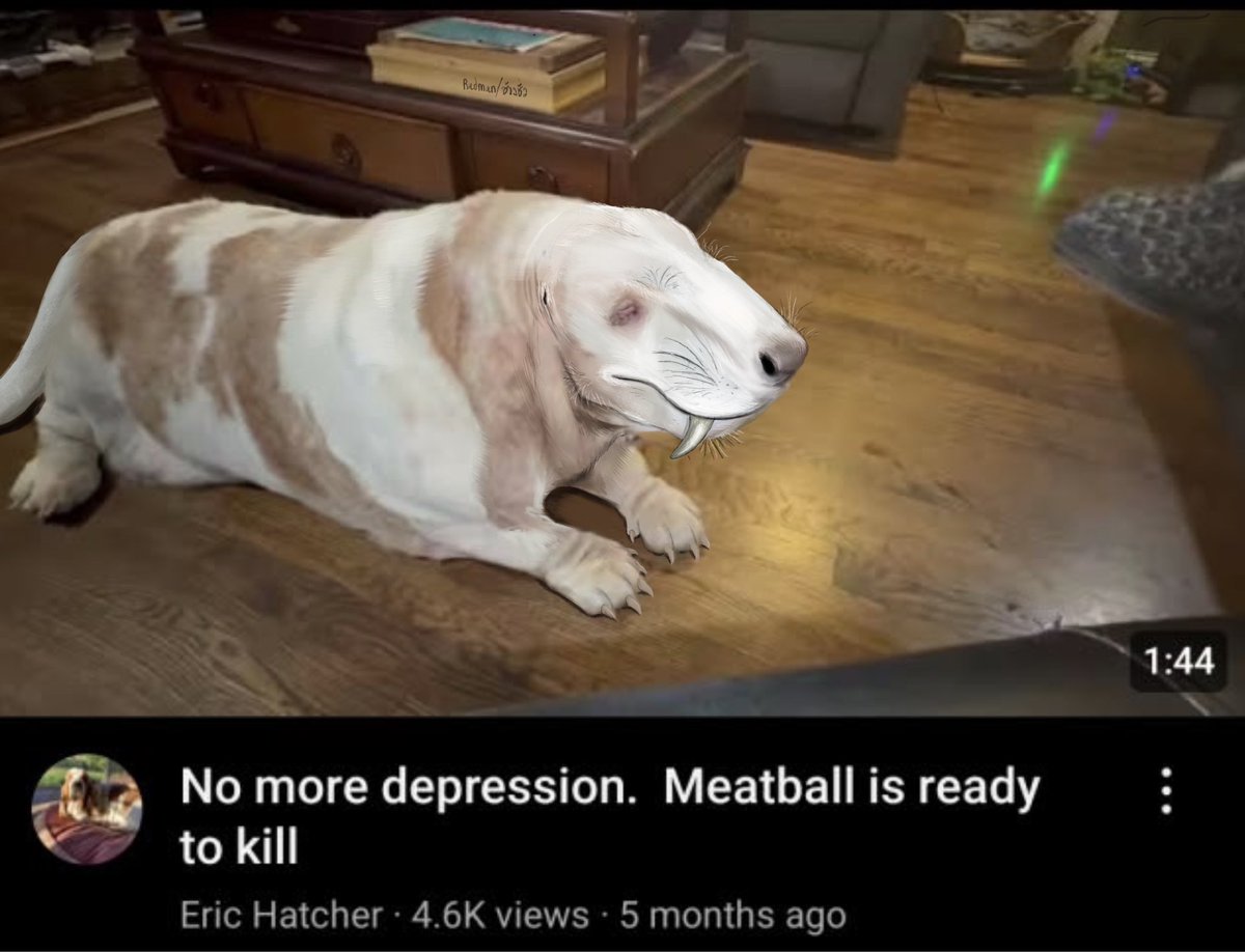 RADMAN(COMMISSION OPEN 1/5) tweet media